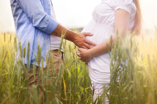 From Bump to Bundle: A Pregnancy Adventure